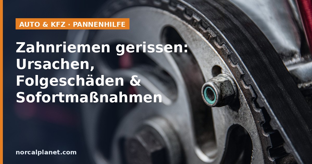 Zahnriemen und Zahnriemenrad im Detail