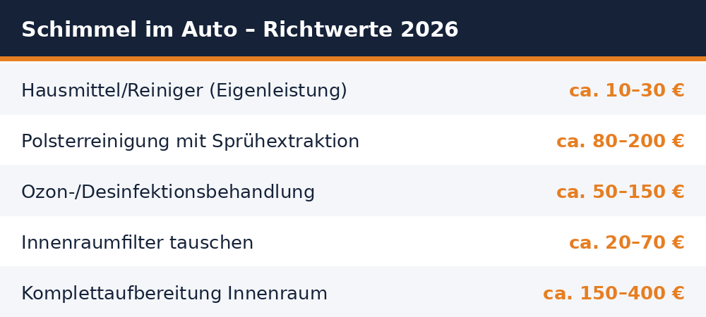 Schimmel im Auto – Richtwerte 2026
