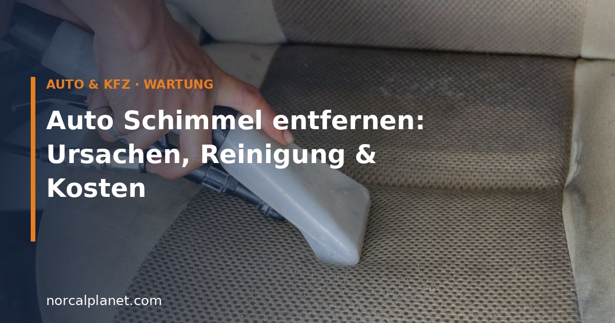 Auto Schimmel entfernen: Ursachen, Reinigung & Kosten