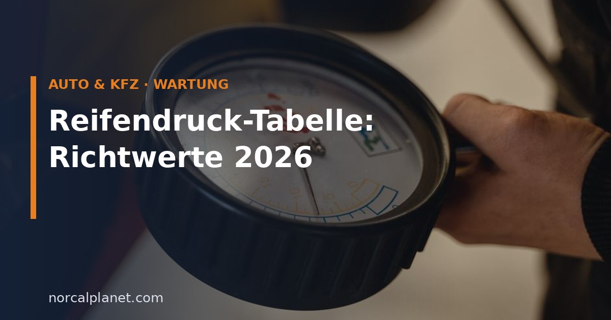 Reifendruckprüfer in der Hand