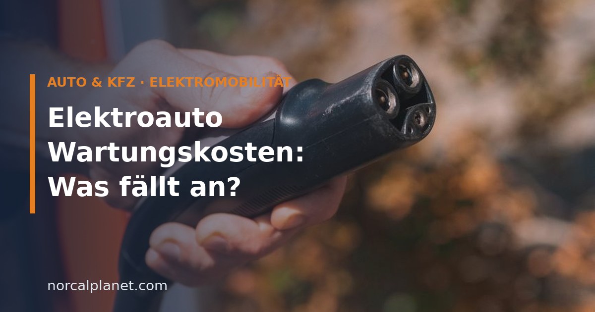 Hand hält einen Ladestecker eines Elektroautos