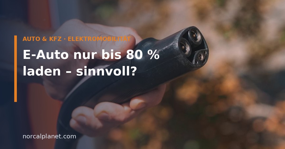 Hand hält Ladestecker eines Elektroautos