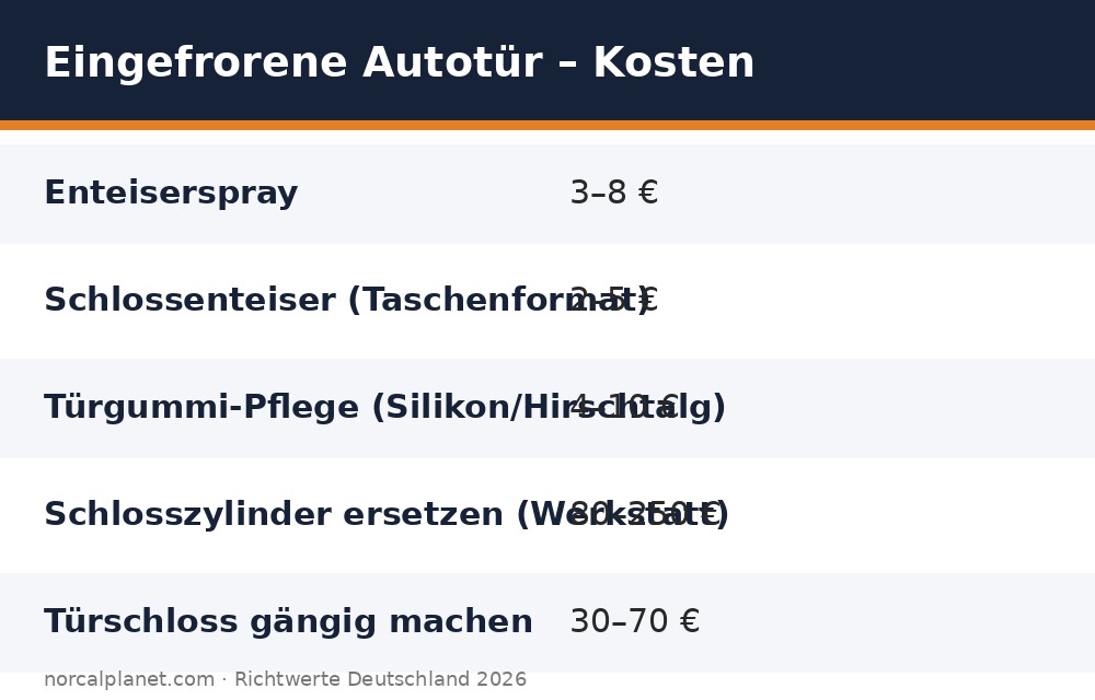Kostenübersicht eingefrorene Autotür