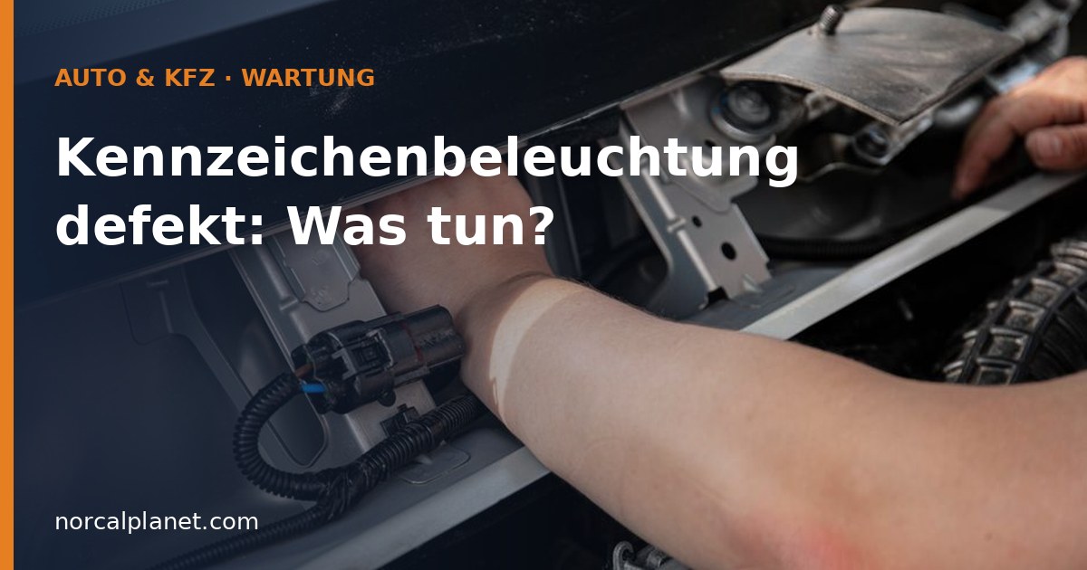 Hand am Stecker der Heckleuchten-Verkabelung