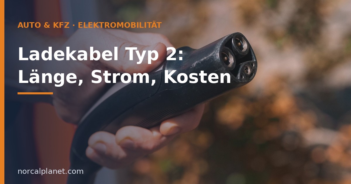 Typ-2-Ladestecker in der Hand
