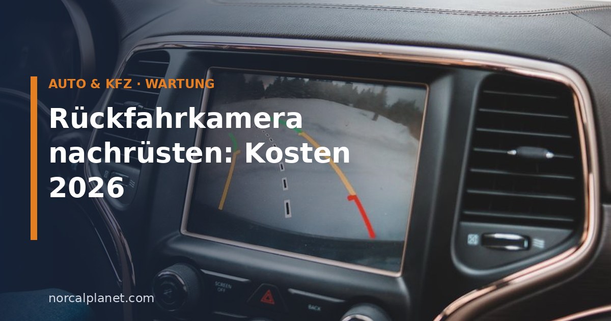 Rückfahrkamera-Anzeige mit Hilfslinien im Display eines Autos