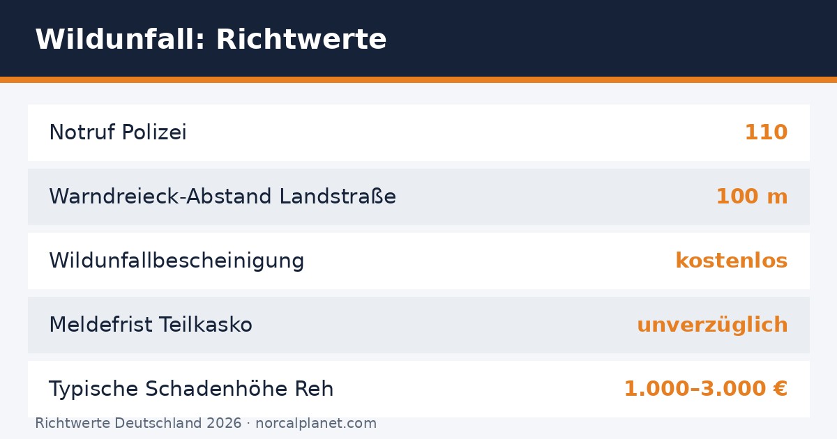 Faktenkarte Richtwerte Wildunfall